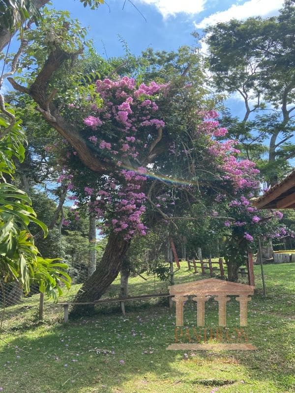 TERRENO - SÃO JOÃO, ITAPEVI